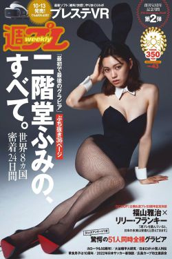 精装追女仔